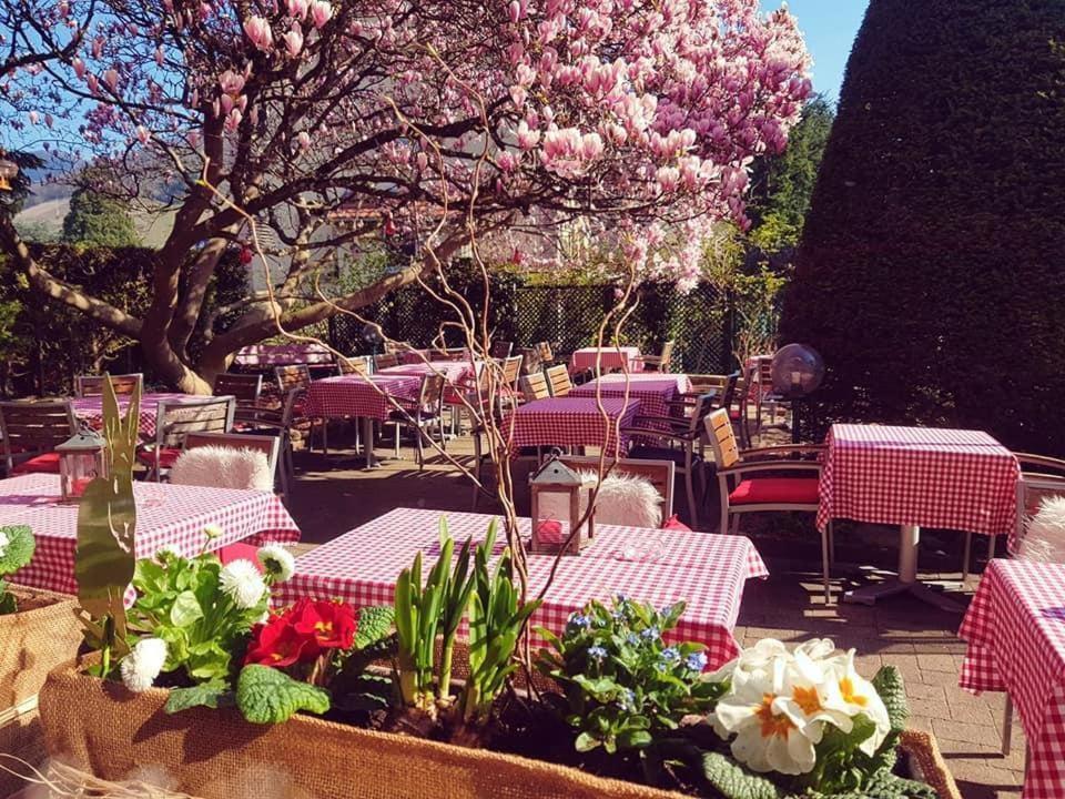 Hotel Restaurant Aux Sapins تان المظهر الخارجي الصورة